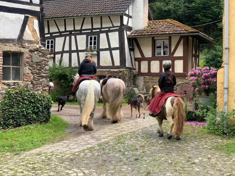 Reifenmühle Hasselbach Impressionen