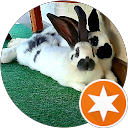 Friedhelm Rücker profile picture